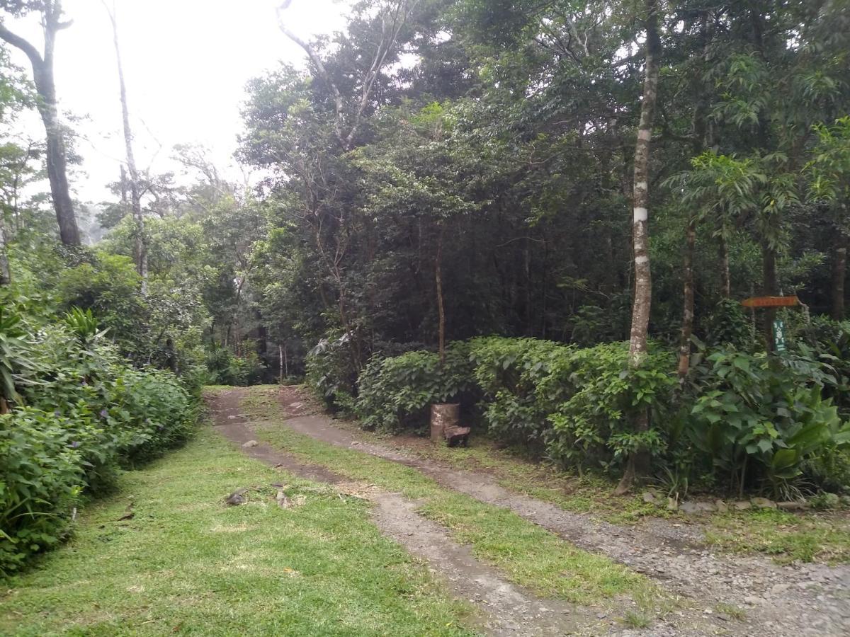 Cabanas La Montana Mountain Lodge Monteverde Exterior photo