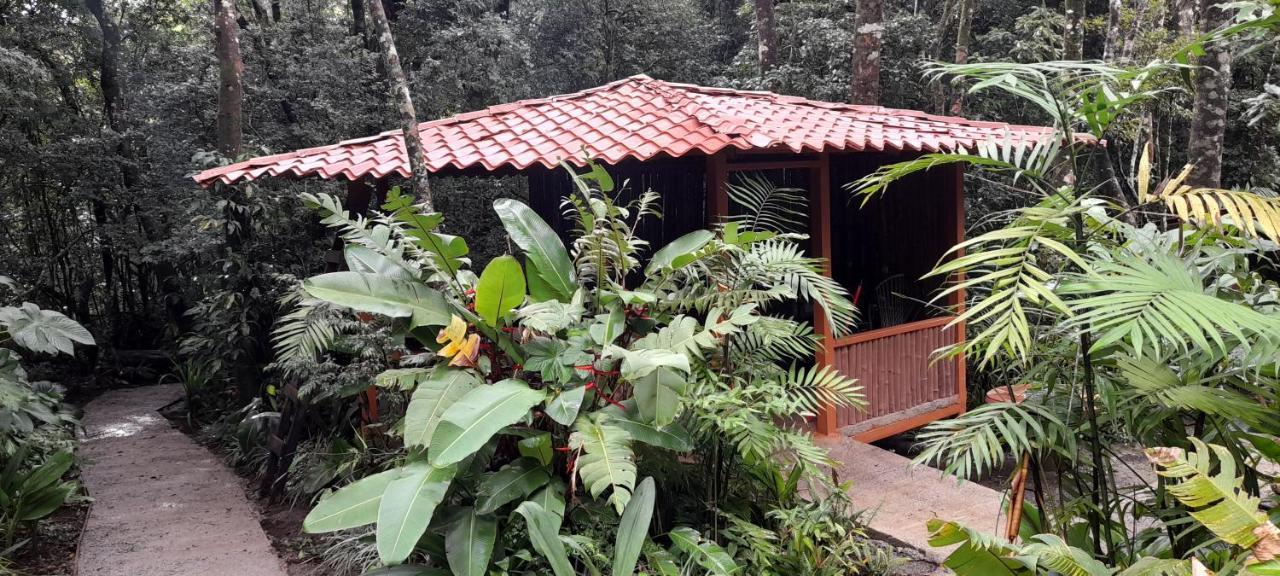 Cabanas La Montana Mountain Lodge Monteverde Exterior photo